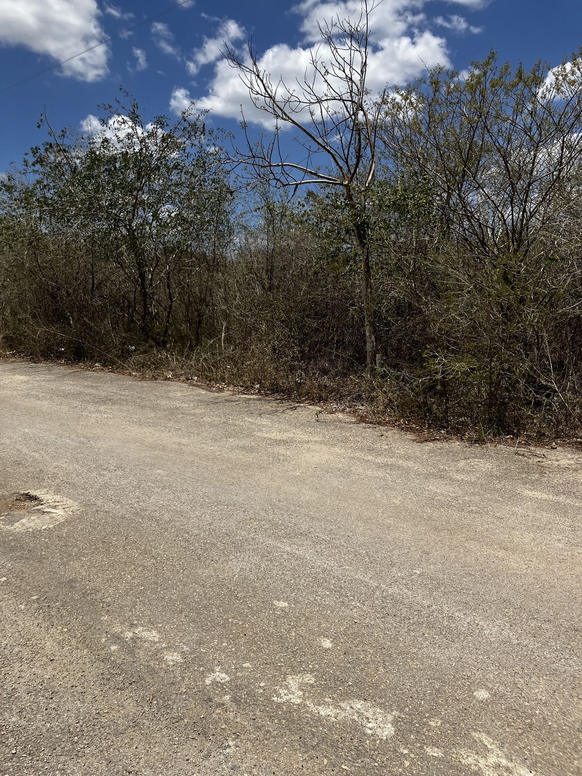 1 de 6