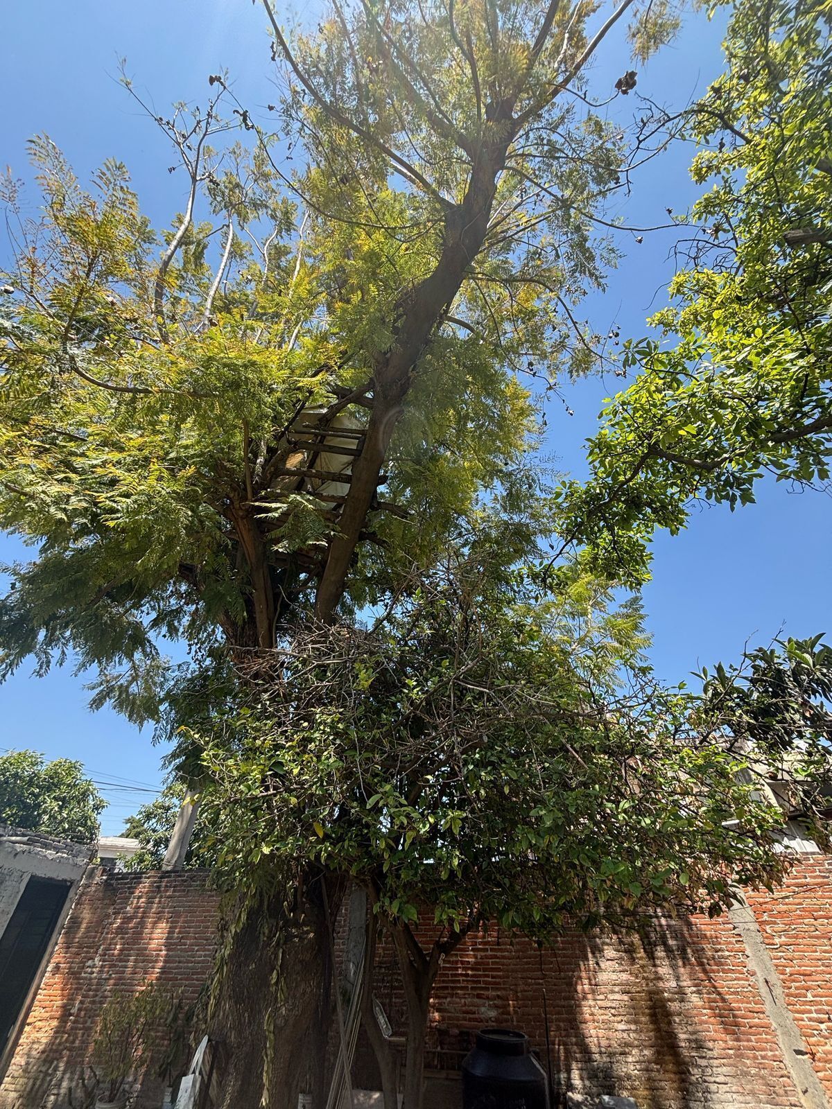 3 de 8
