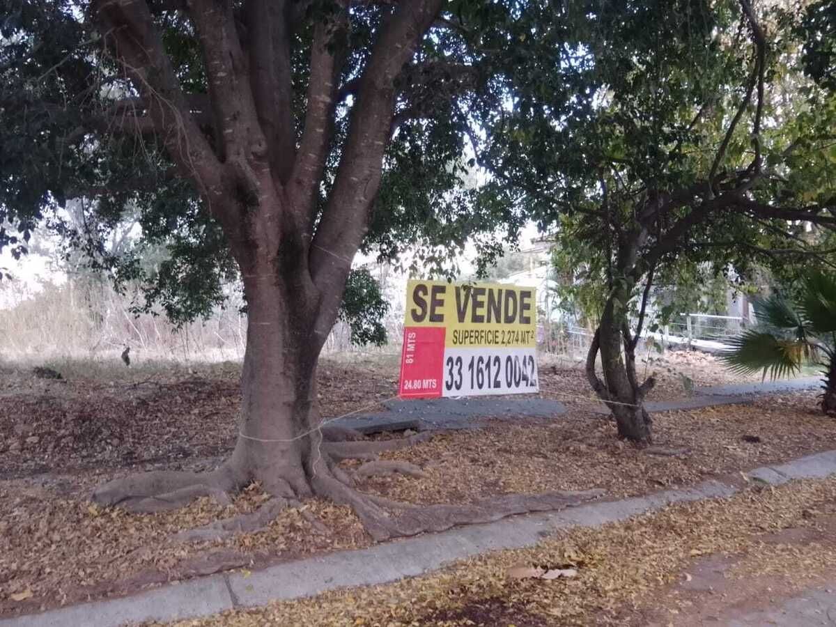 2 de 12