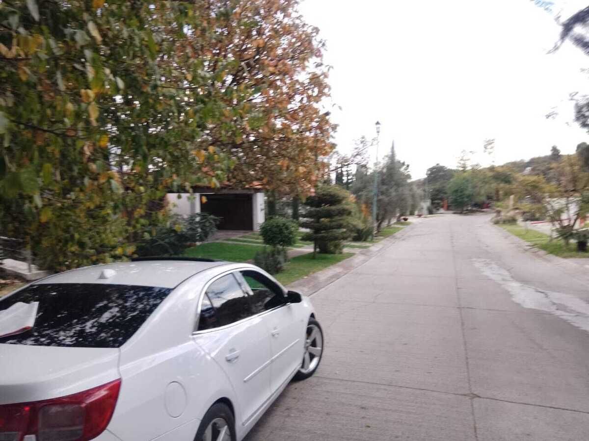 5 de 12
