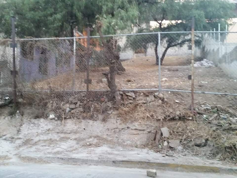 Imagen 2 de 8