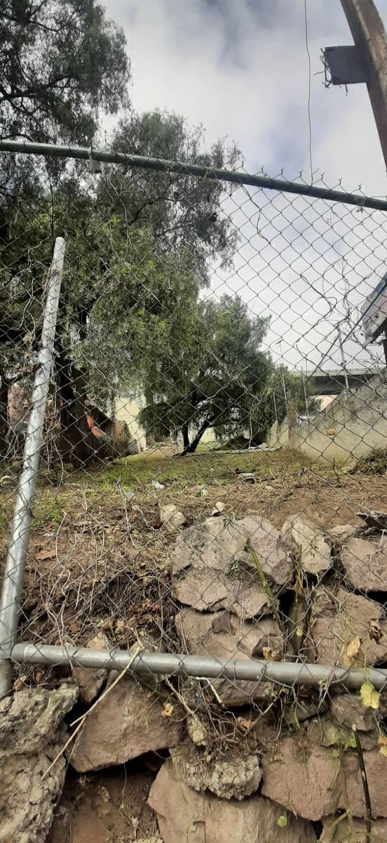 Imagen 5 de 8