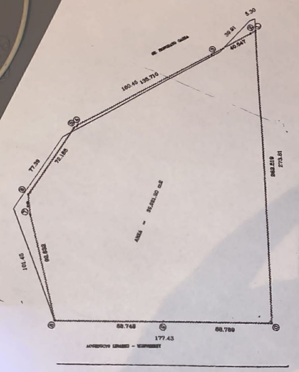 4 de 4