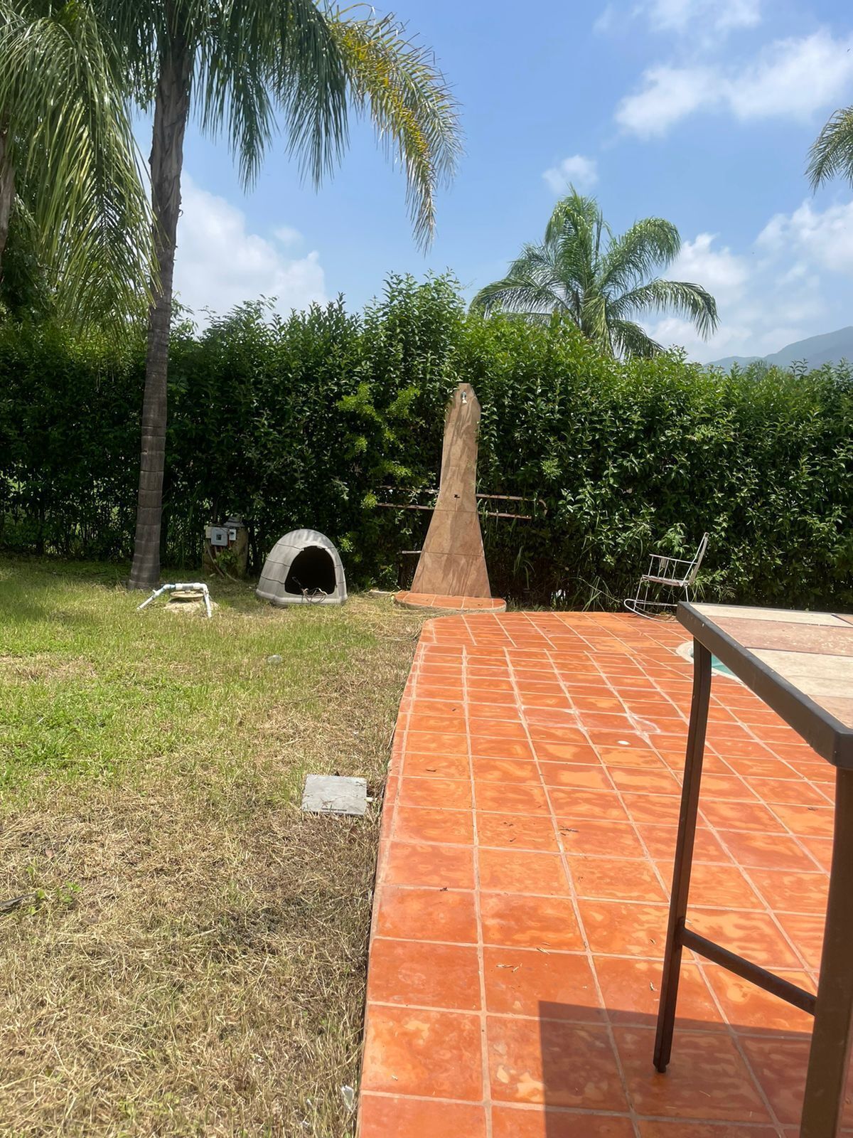 Imagen 4 de 8
