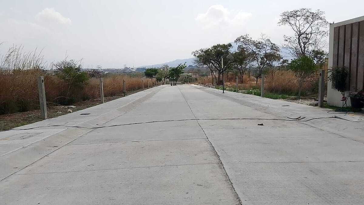 5 de 16