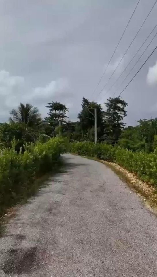 2 de 6