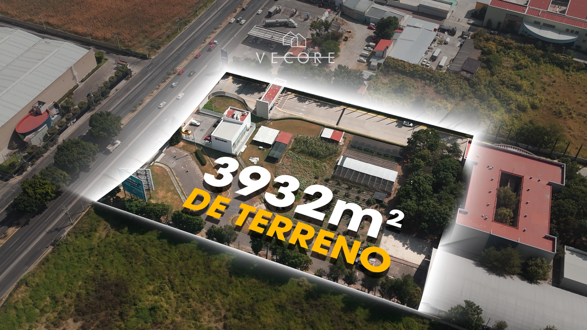 3 de 6