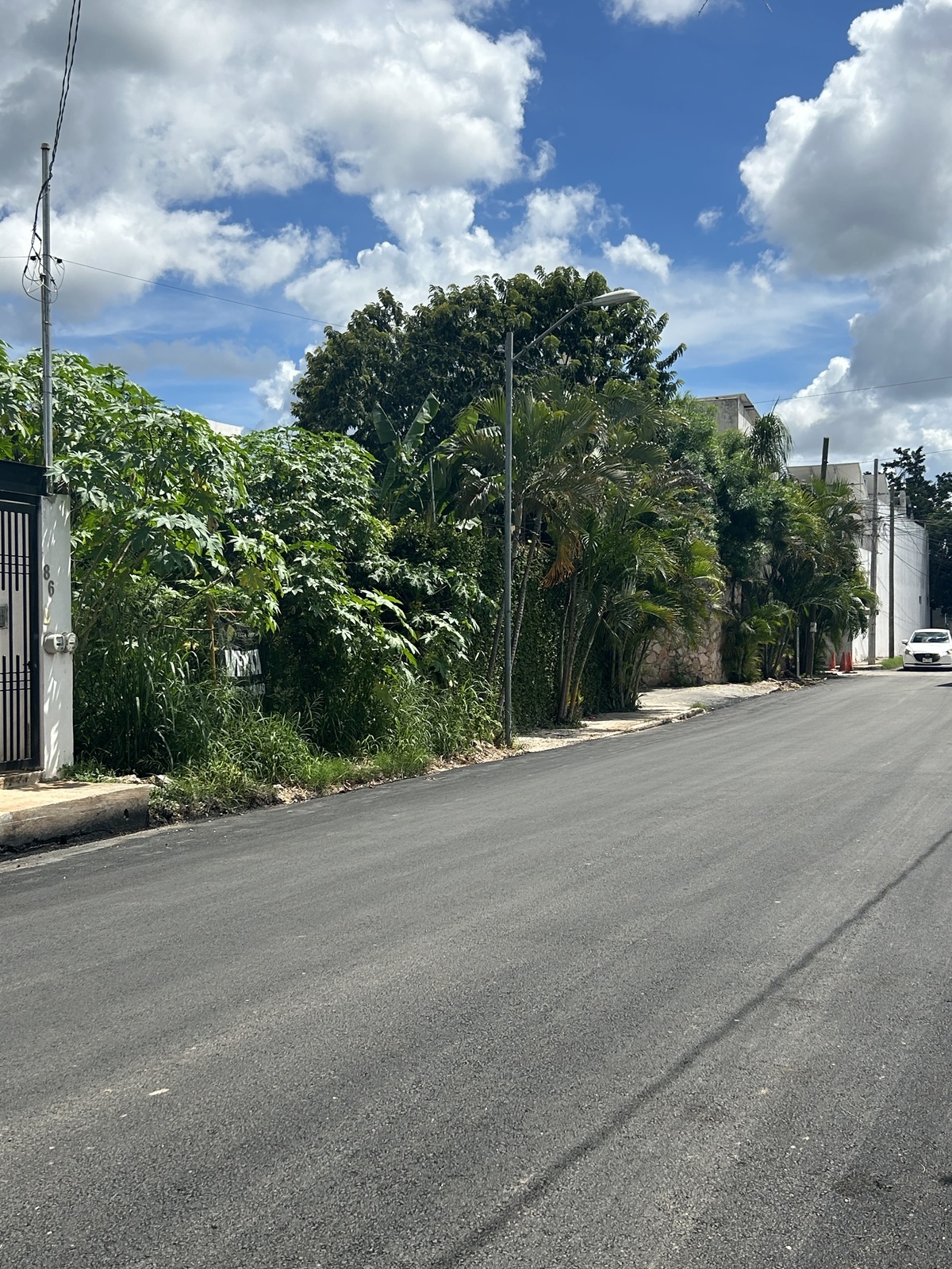 9 de 14
