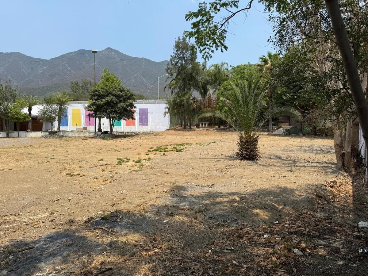 5 de 8