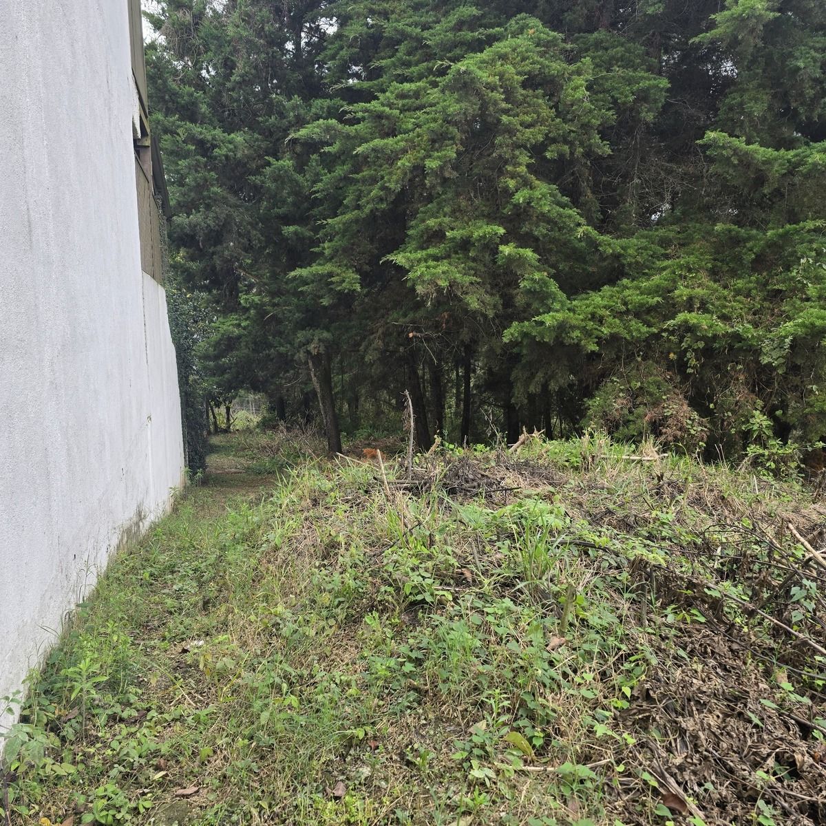 2 de 5