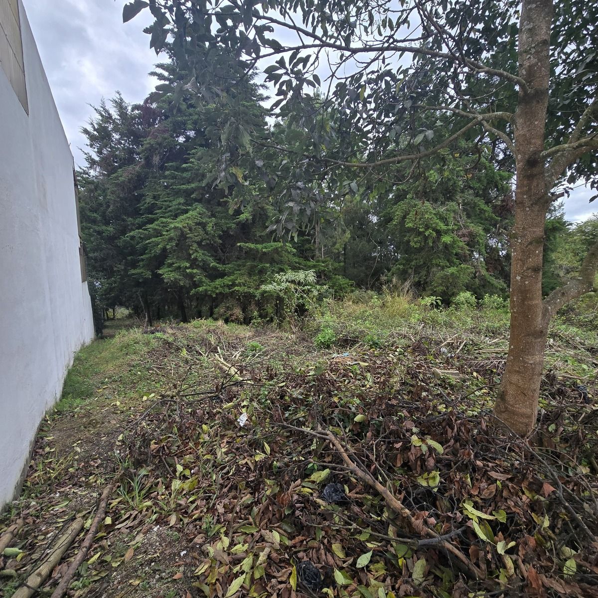 5 de 5