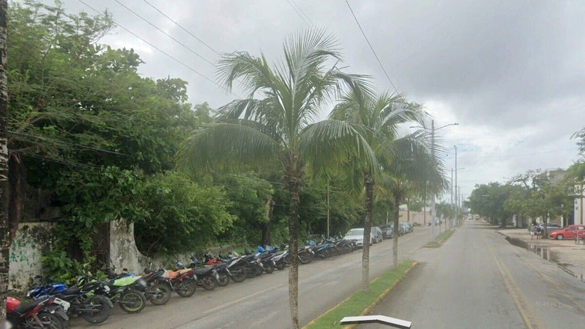 5 de 10