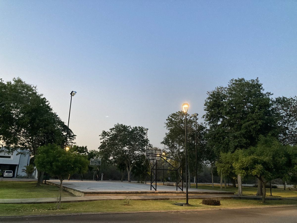8 de 11
