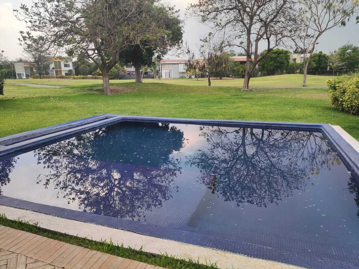 31 de 33