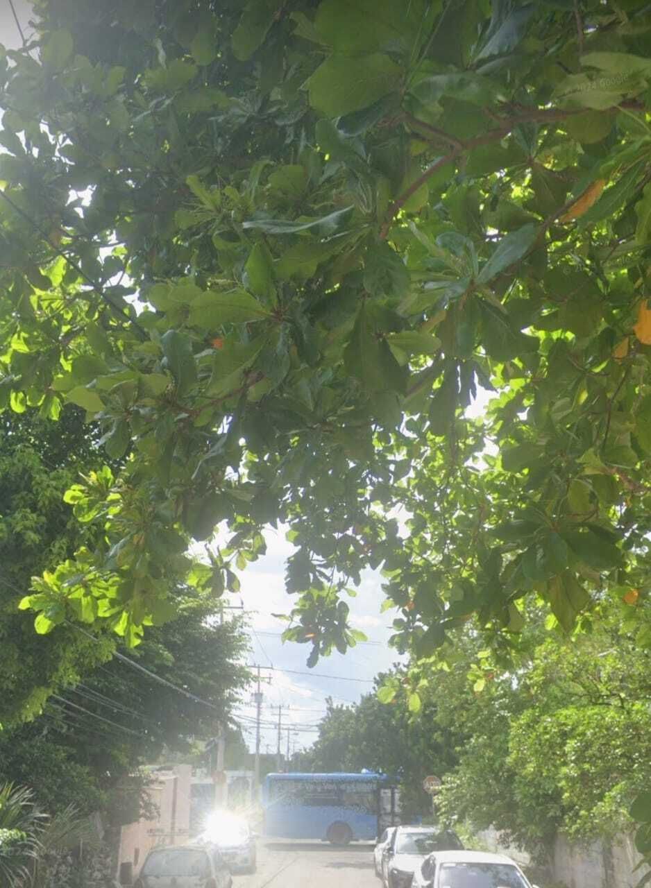 2 de 5