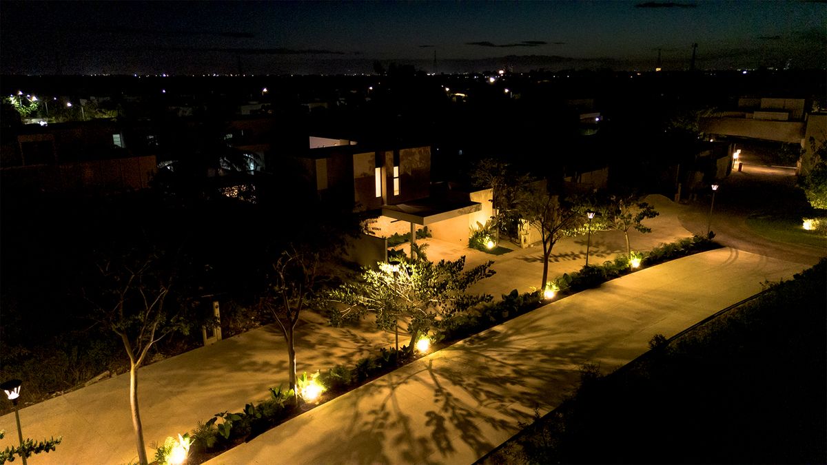 Calles con Vegetación en los Camellones e Iluminación