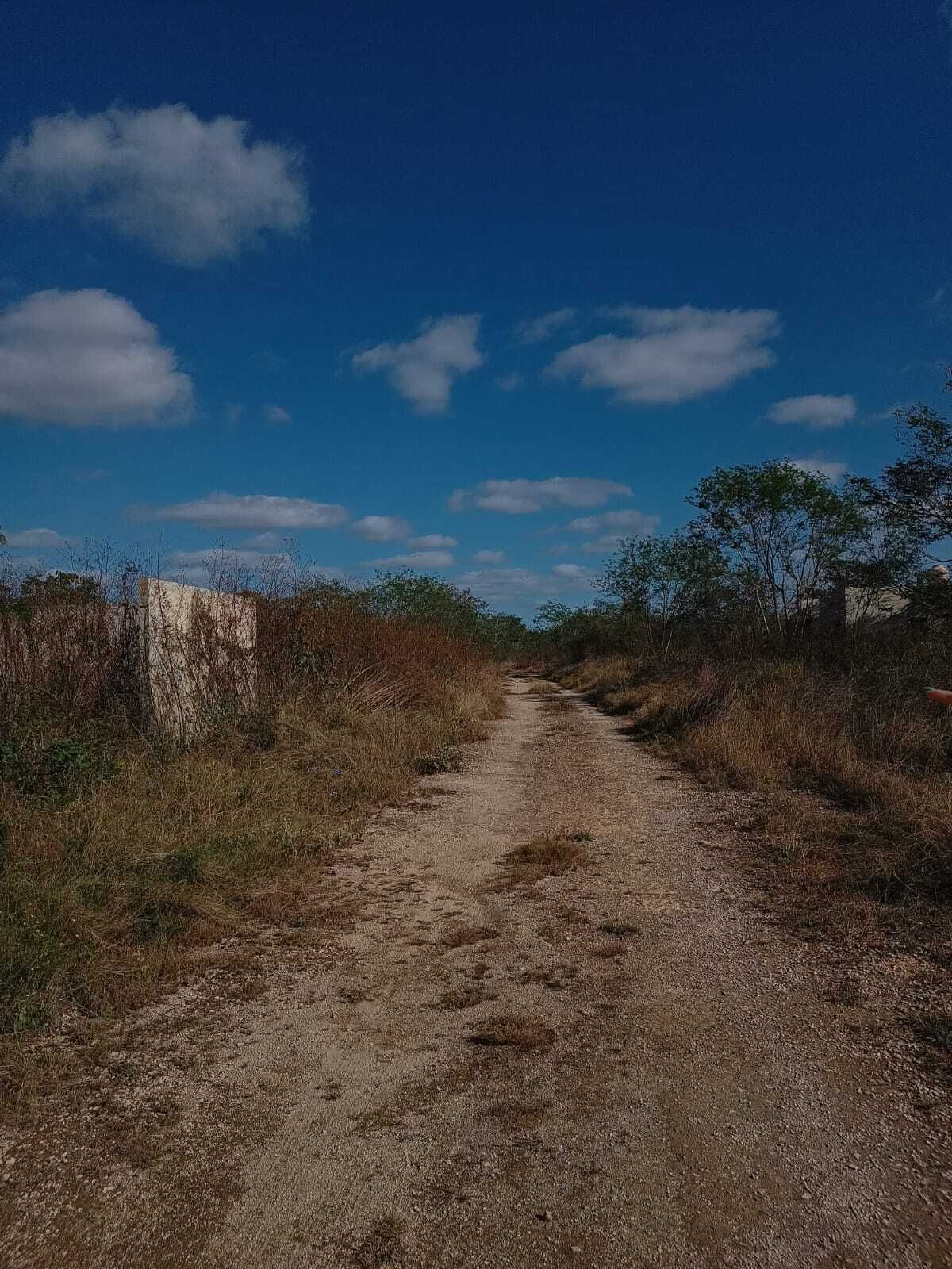 2 de 4