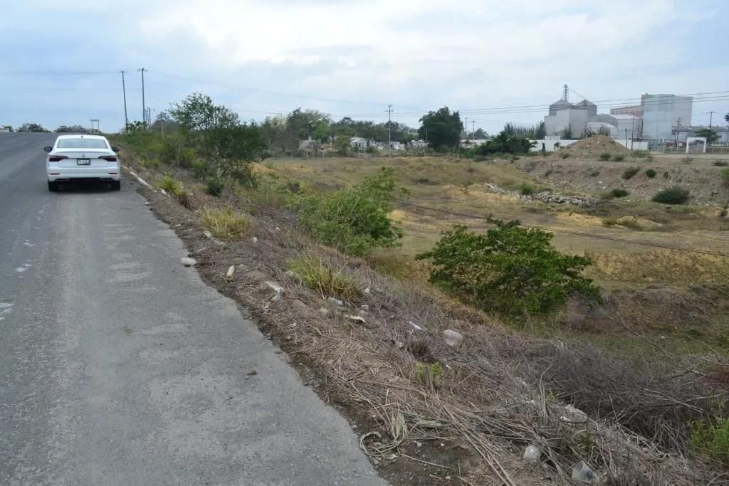 Imagen 4 de 7