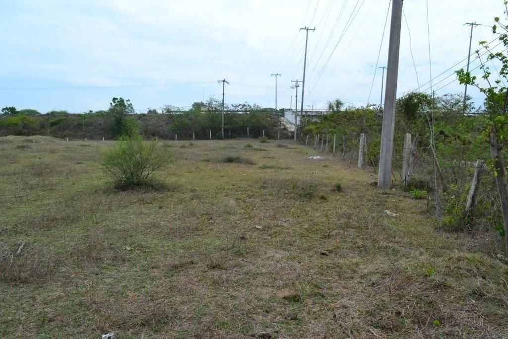 Imagen 5 de 7