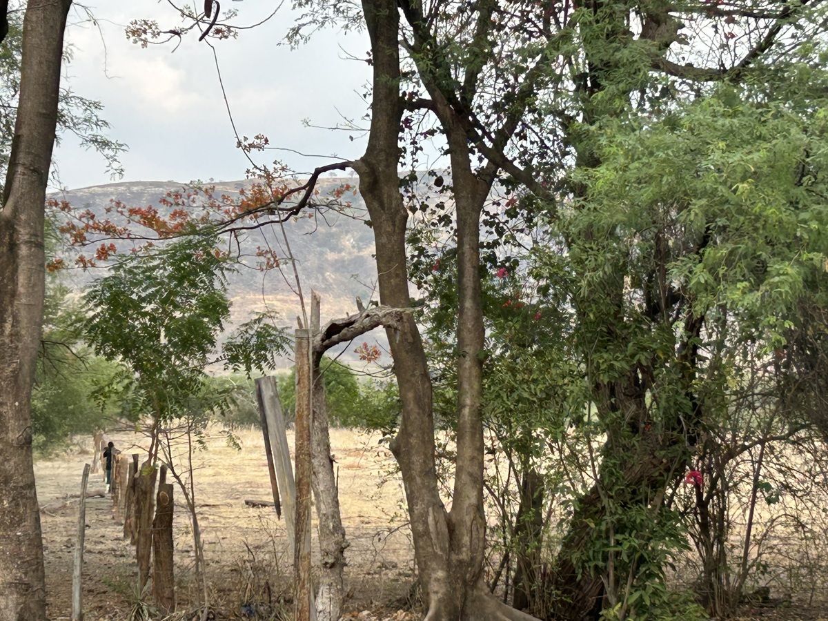 9 de 26: Los Corrales