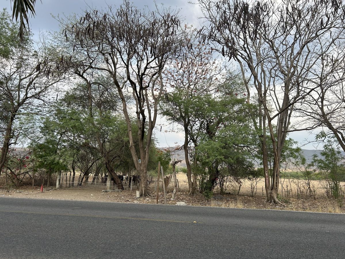 10 de 26: A orilla de Carretera