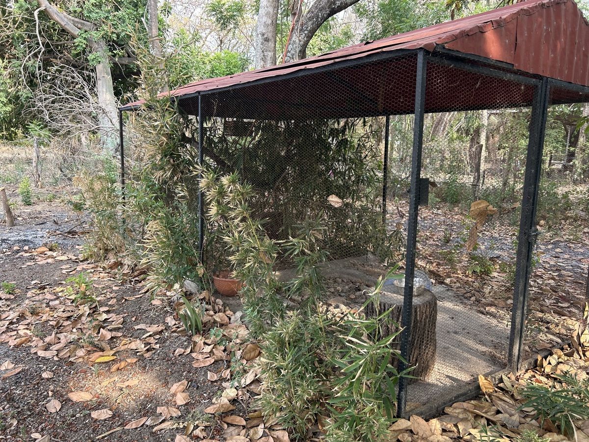 20 de 26: Vivero