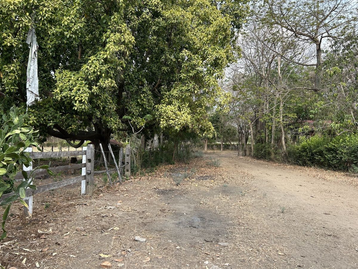 26 de 26: Acceso y cruce de ganado