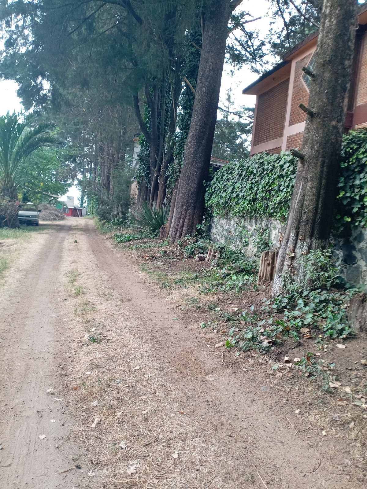 2 de 9