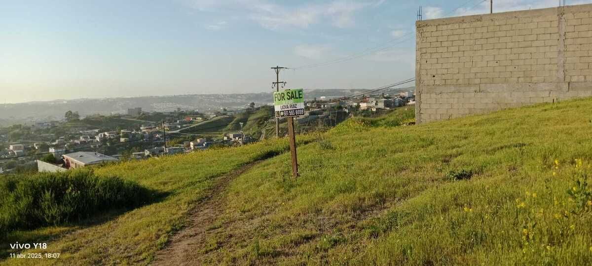 5 de 12