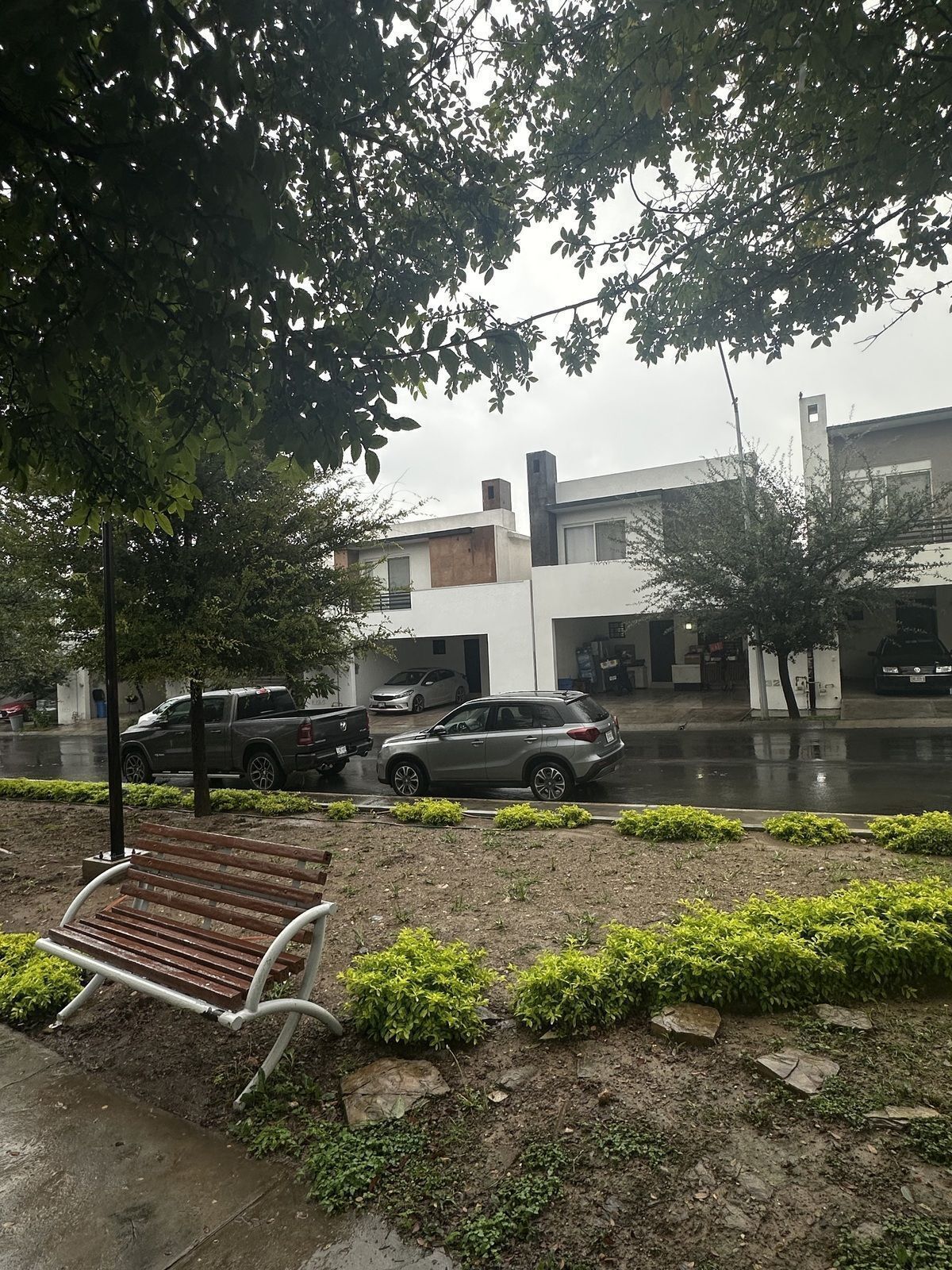 25 de 31