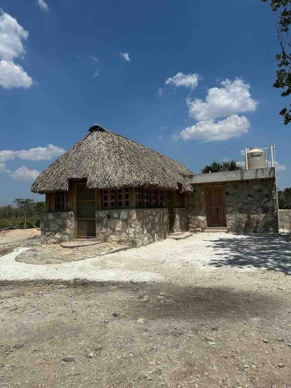 2 de 24