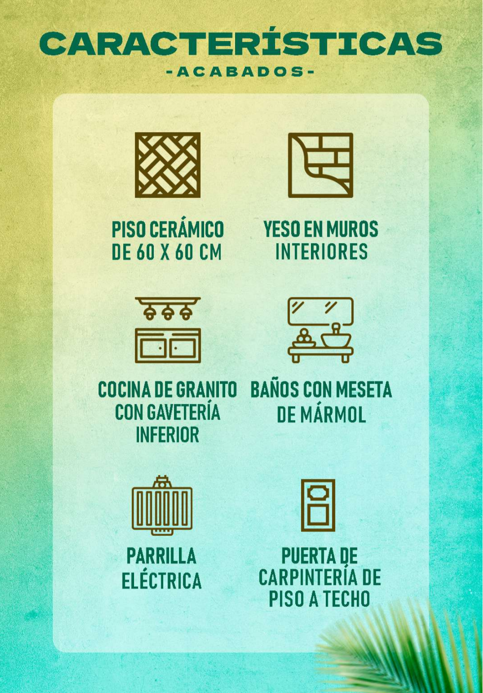 11 de 15