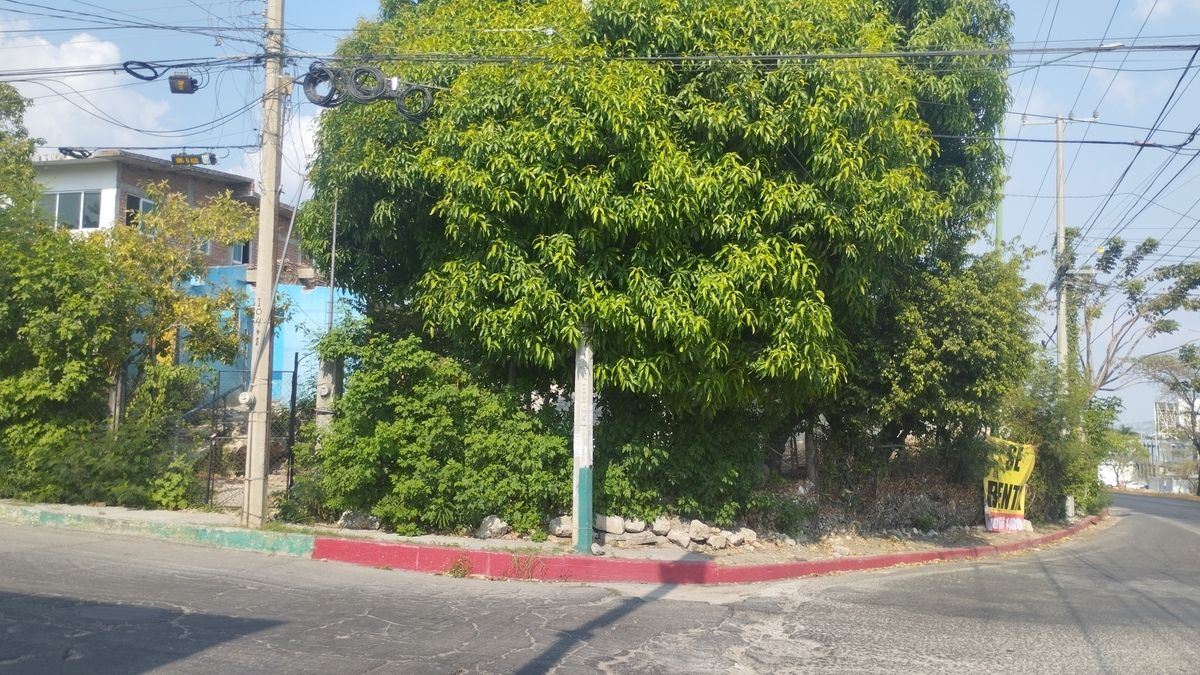 5 de 5
