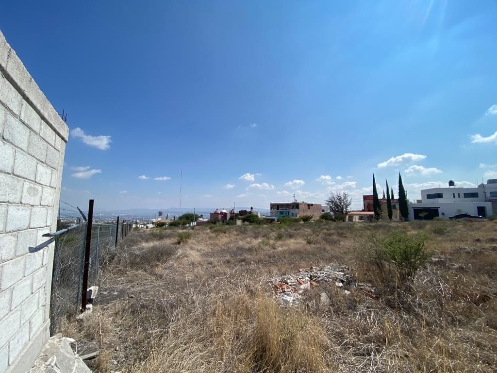 3 de 20