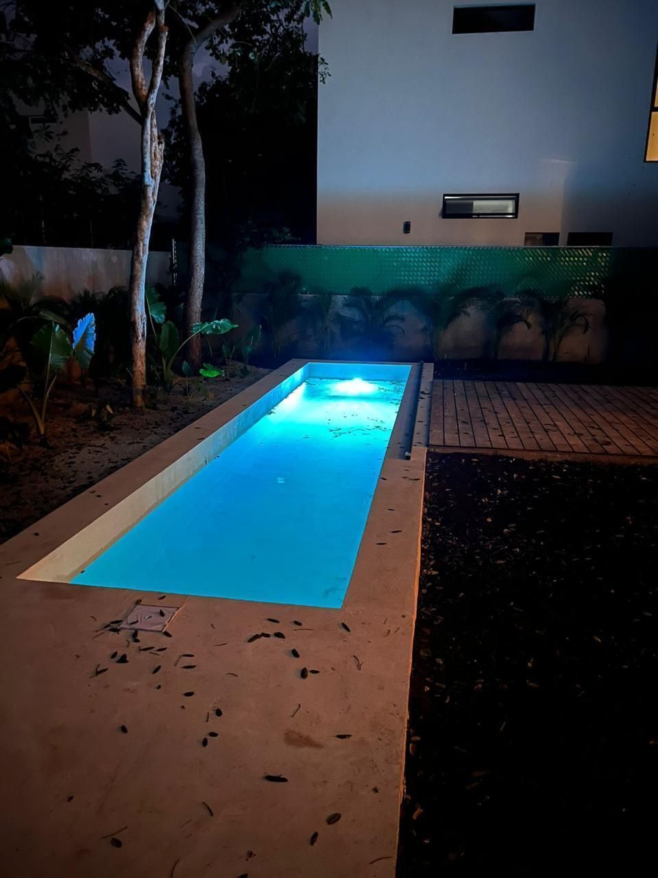 5 de 12