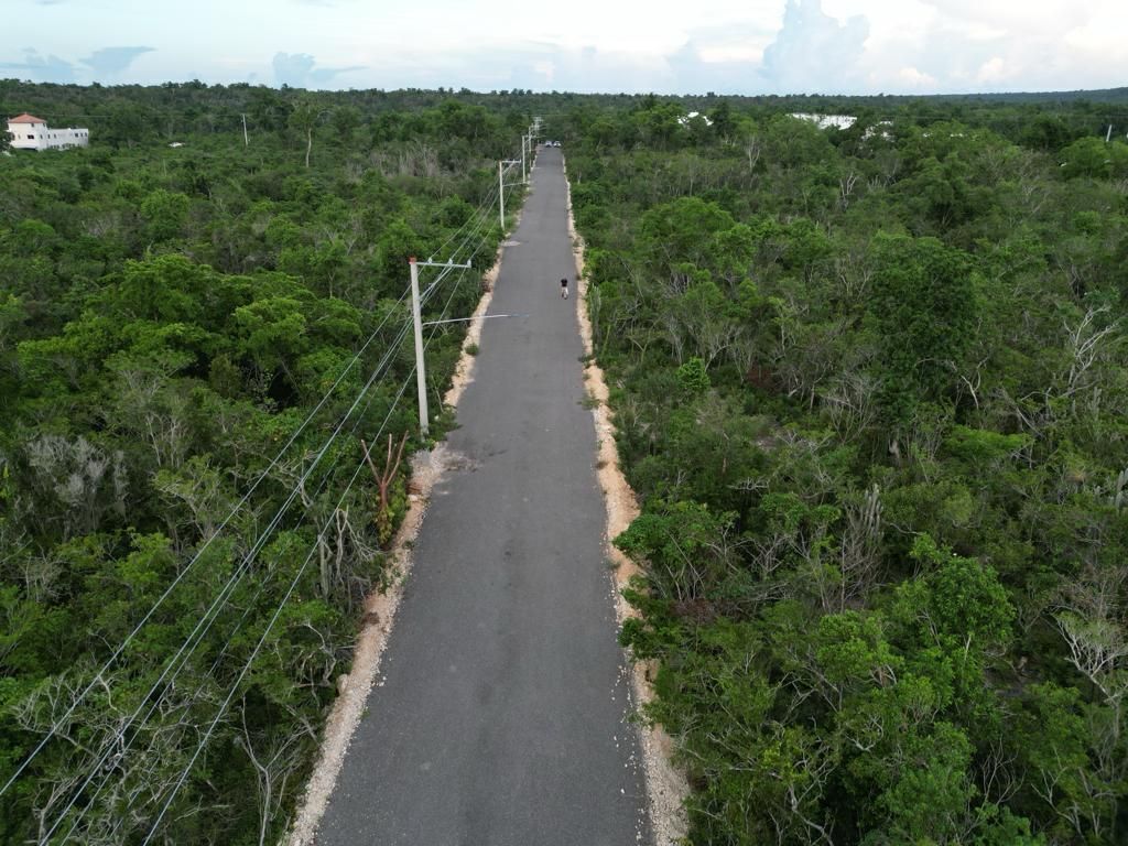 2 de 6