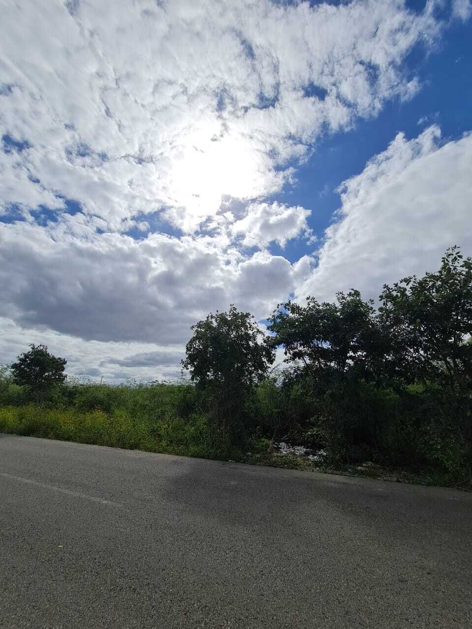 1 de 4