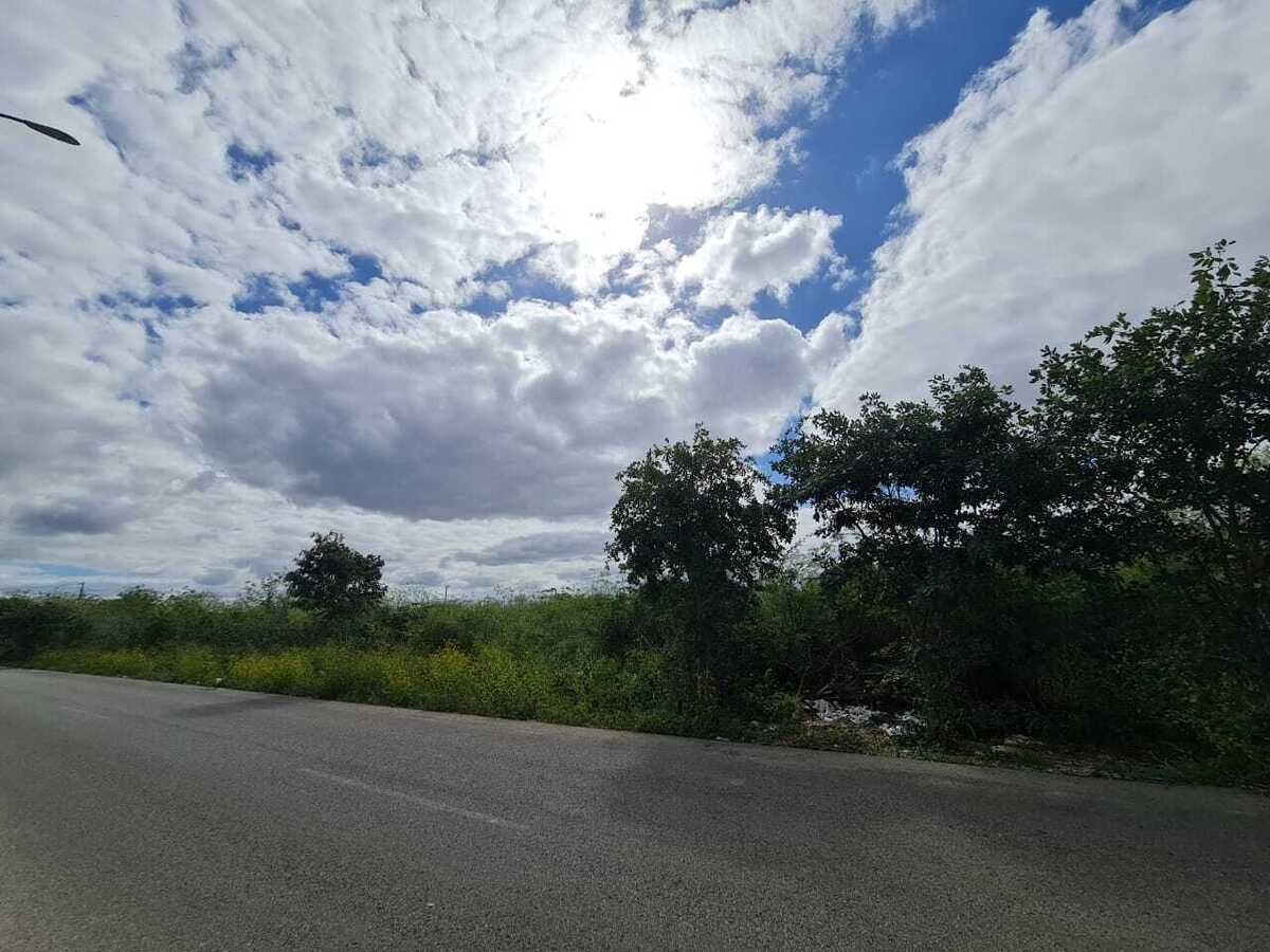 2 de 4