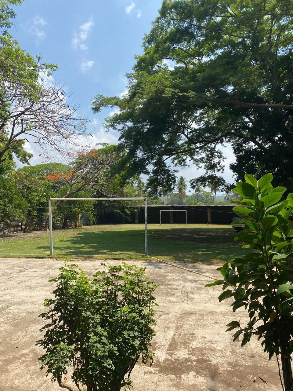 2 de 24