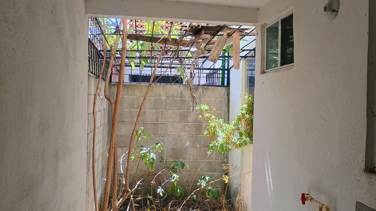 4 de 17