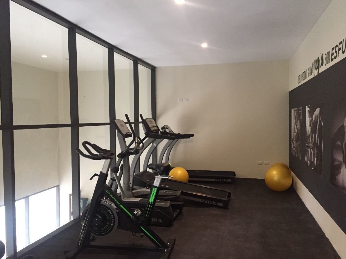 7 de 41: gimnasio