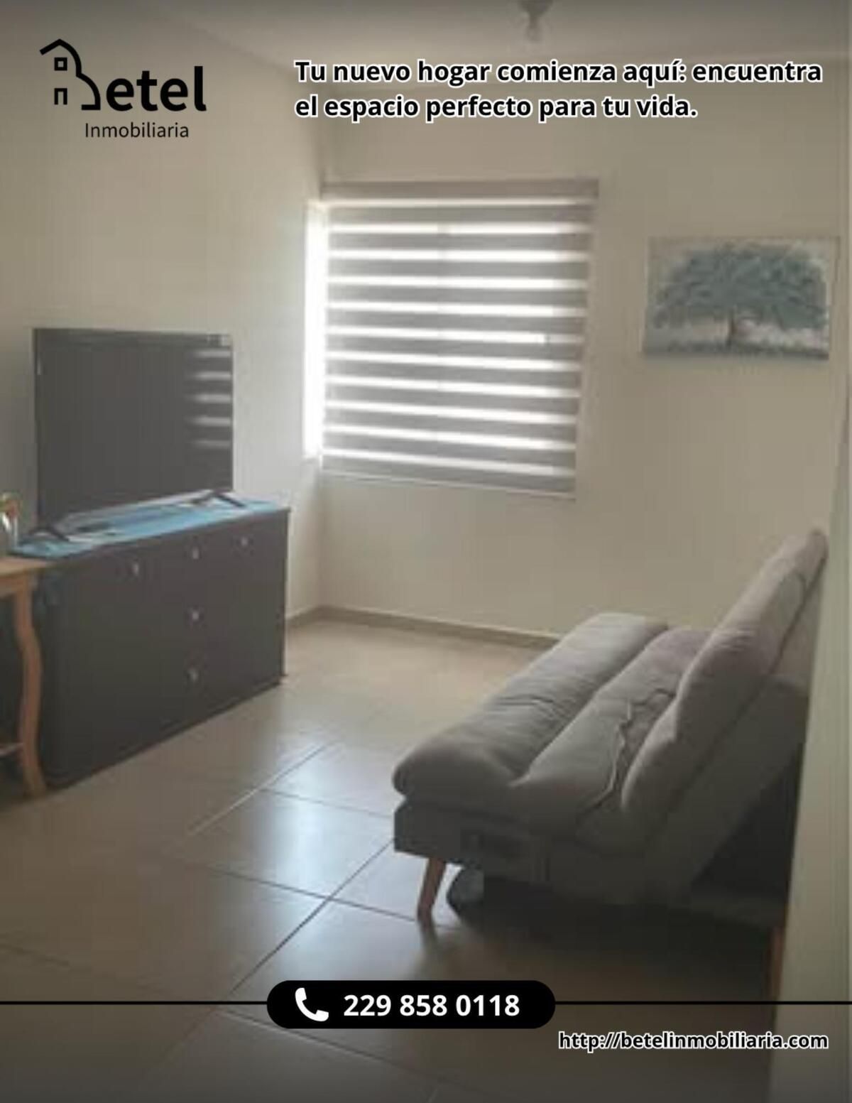 5 de 17