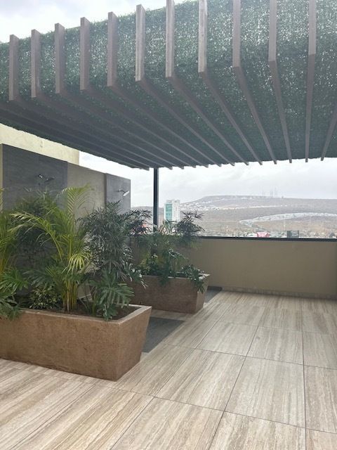11 de 42