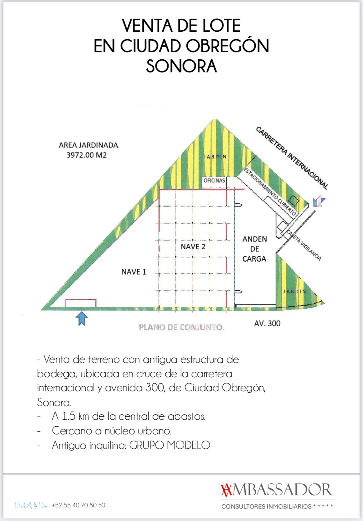 3 of 3: datos y medidas