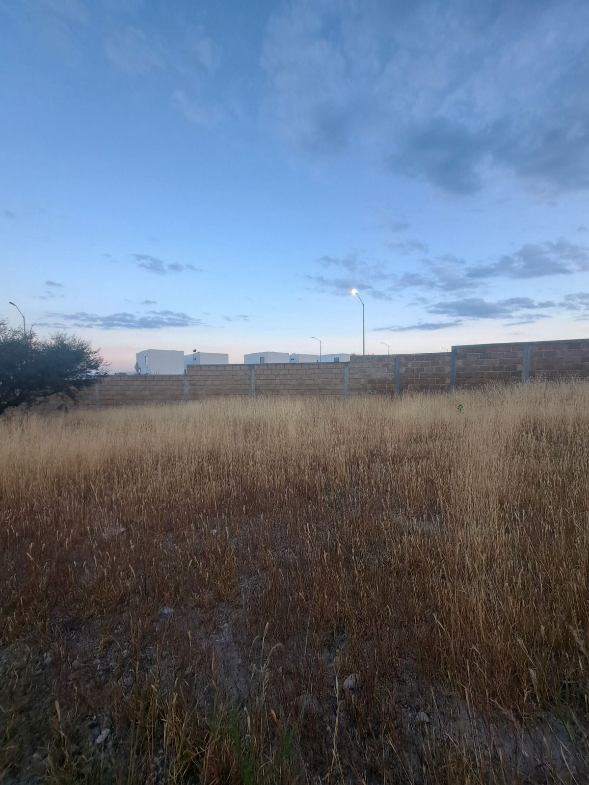 5 de 13