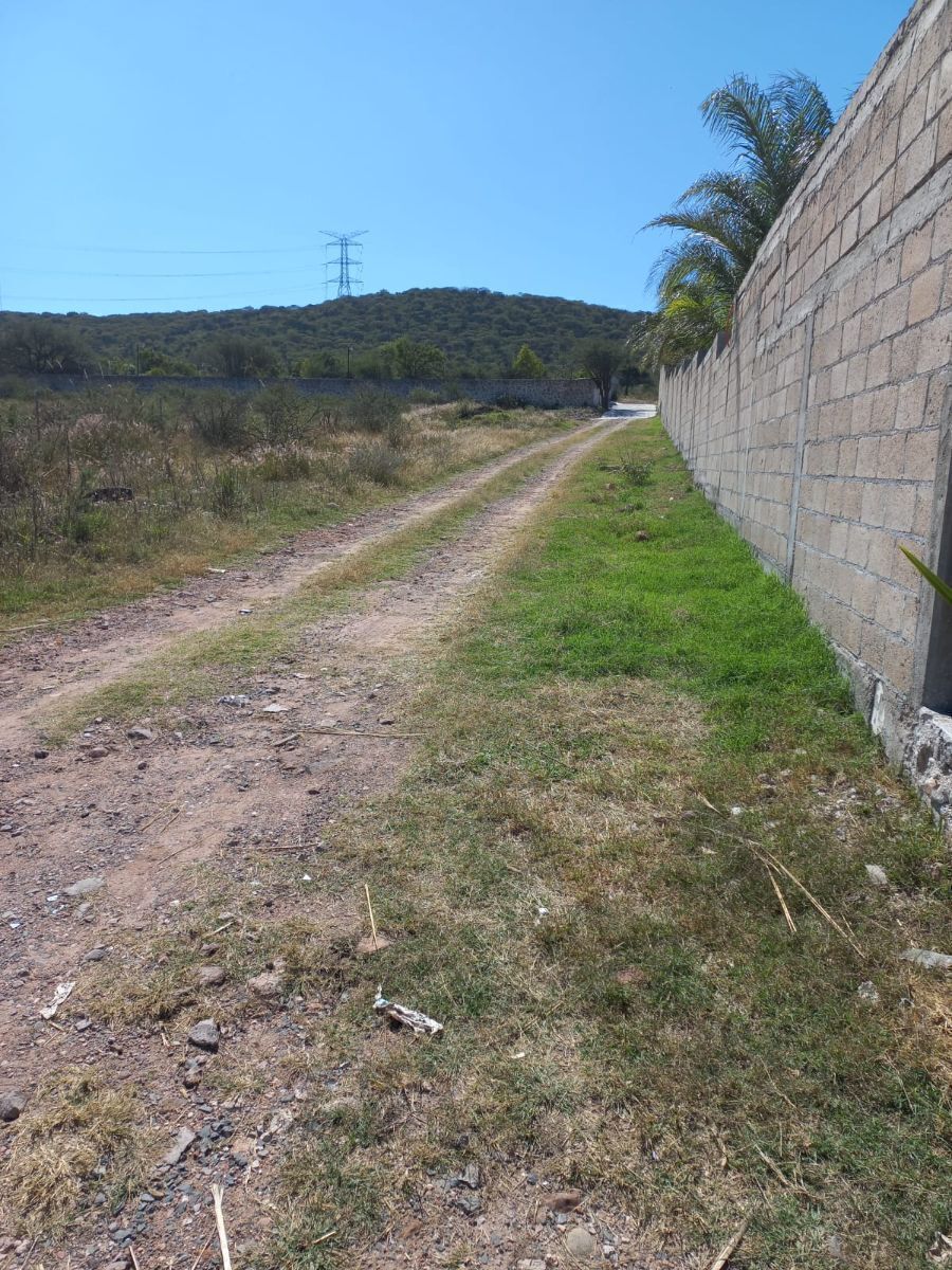 4 de 6
