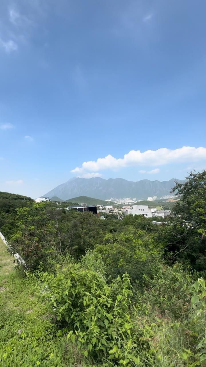 1 de 4