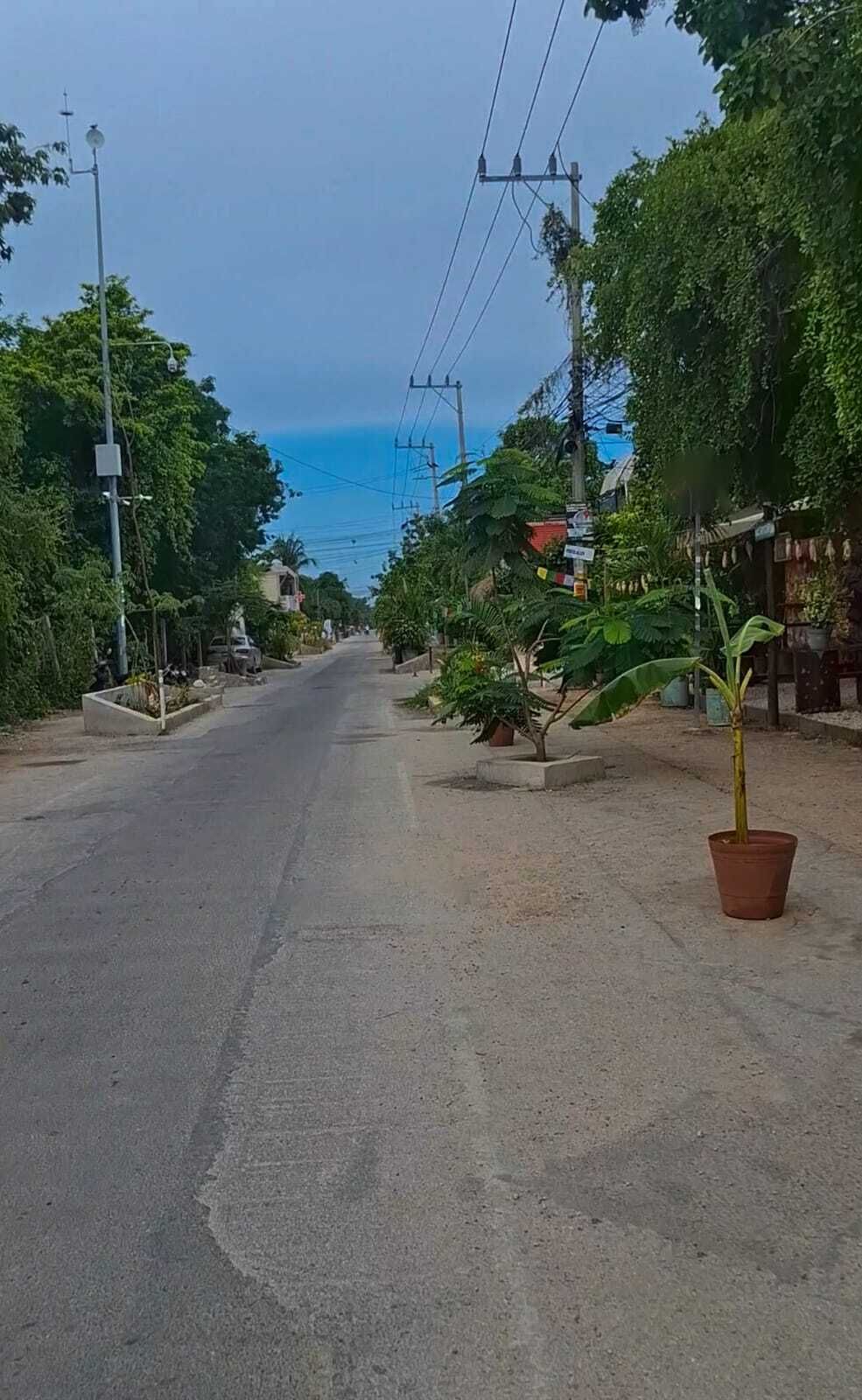 5 de 10