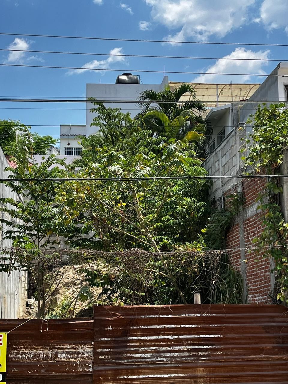 3 de 9