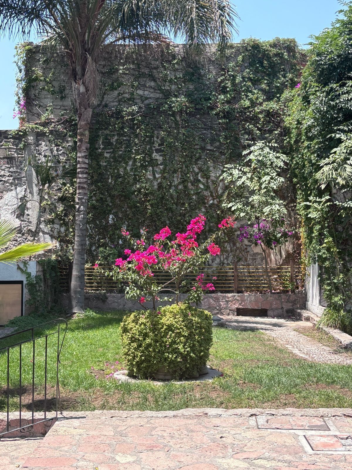 33 de 35